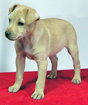 hualtulco.comp.int.m.72